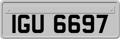 IGU6697
