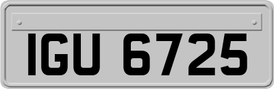 IGU6725