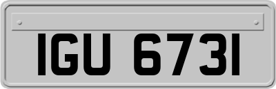 IGU6731