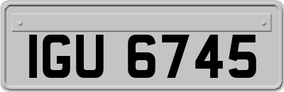 IGU6745