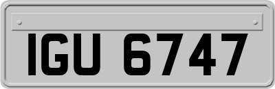 IGU6747