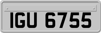 IGU6755