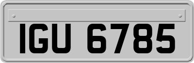 IGU6785