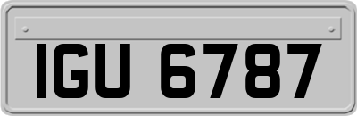 IGU6787