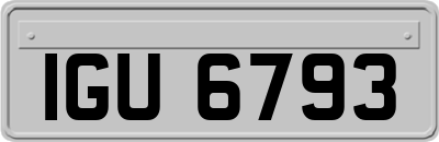 IGU6793