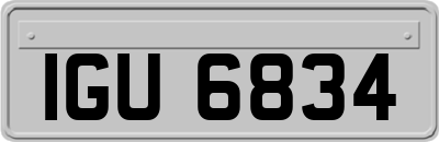 IGU6834