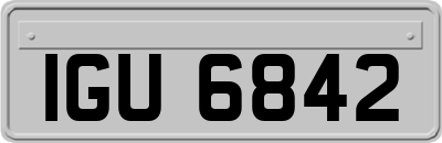 IGU6842