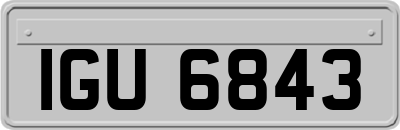 IGU6843