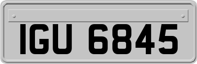 IGU6845