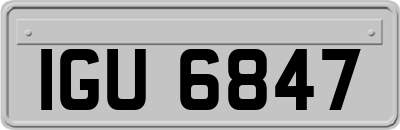 IGU6847