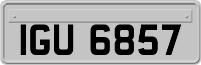 IGU6857