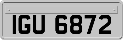 IGU6872
