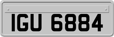 IGU6884