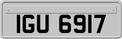 IGU6917