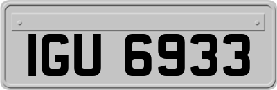 IGU6933