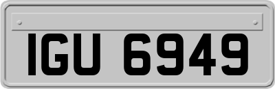 IGU6949