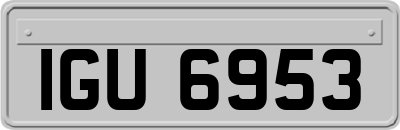 IGU6953