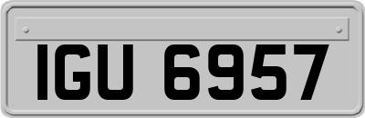 IGU6957