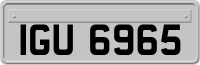 IGU6965