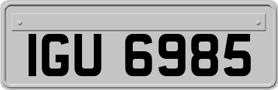 IGU6985