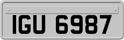 IGU6987