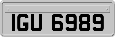 IGU6989