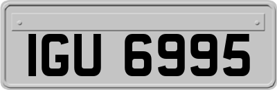 IGU6995