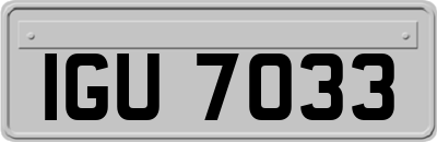 IGU7033