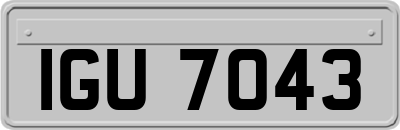 IGU7043