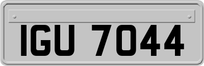 IGU7044