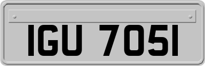 IGU7051