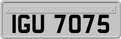IGU7075