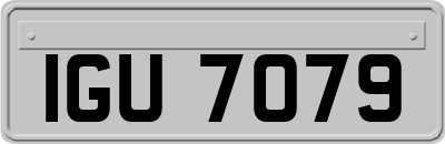 IGU7079