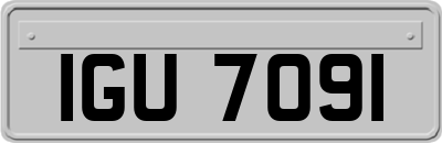 IGU7091