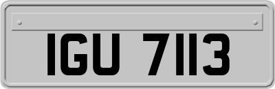IGU7113