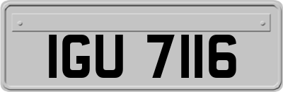 IGU7116