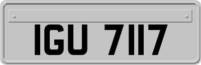 IGU7117