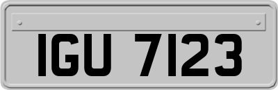 IGU7123