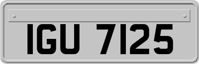 IGU7125