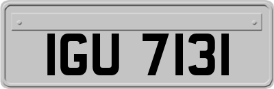 IGU7131