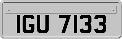 IGU7133