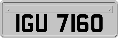IGU7160