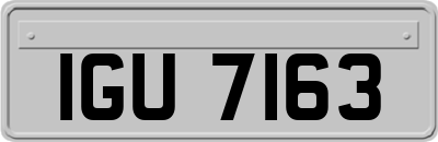IGU7163