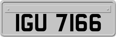 IGU7166