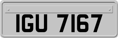 IGU7167