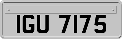 IGU7175