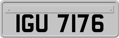 IGU7176