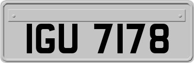 IGU7178