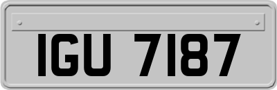 IGU7187