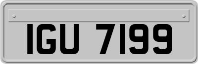 IGU7199